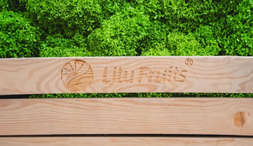 3-Lilu-Fruits skrzynka na owoce
